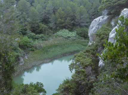 A view of a bit of water from above a cliff, everything is covered by trees