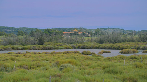 A view of a landscape containing a villa in the middle of it, surrounded by trees