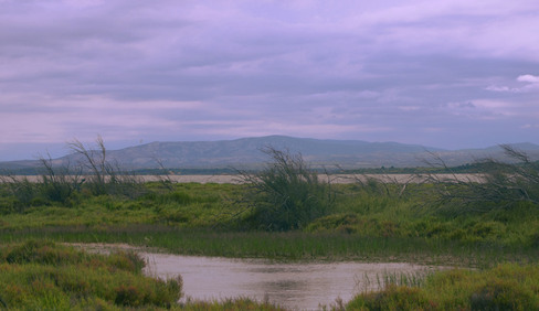 A view of a hill with a cloud sky, and desaturated colors
