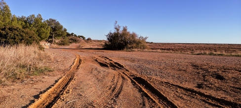 Car traces on dirt