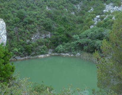 A view of a lake from above, vegetation everywhere