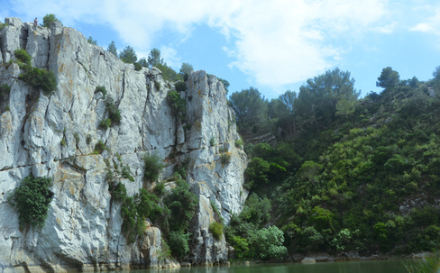 A cliff, a lot of trees and a blue sky